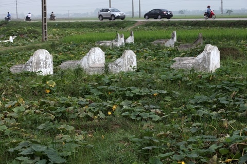 Bat nghi can dam chet nguoi dan ong trong nghia dia hinh anh