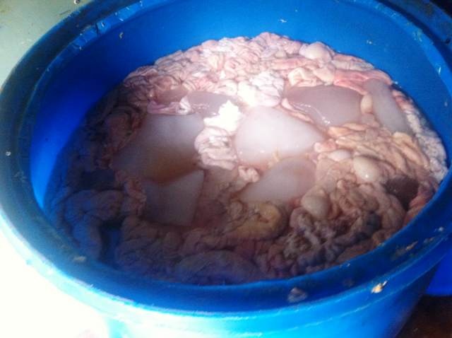 400 kg long lon thoi bi bat khi sap vao nha hang hinh anh