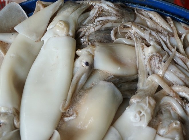 Xuong tay trang ca muc bang hoa chat sat song Hong hinh anh