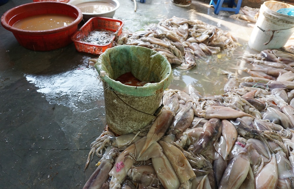 Chị Lan cho hay số cá mực kém chất lượng này nhập về từ Hải Phòng. 