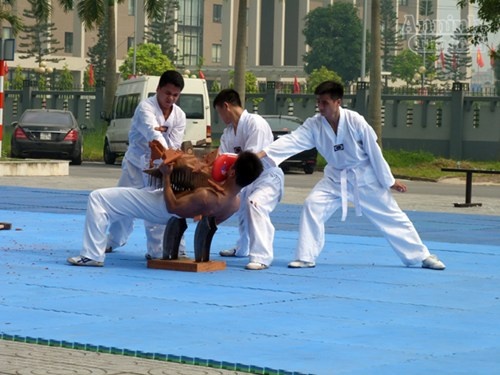 Nhiều tiết mục mạo hiểm khiến người xem hồi hộp, đứng tim.