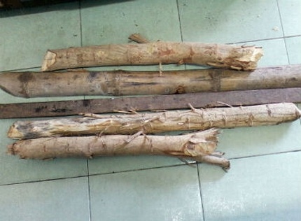 Hang chuc hoc vien cai nghien lao vao hon chien hinh anh