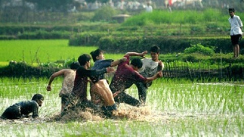 Gay an vi bi cam van gai lang hinh anh