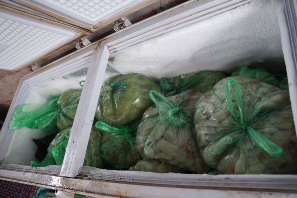 Mực qua sơ chế tiếp tục được cấp đông trước khi chuyển ra thị trường.