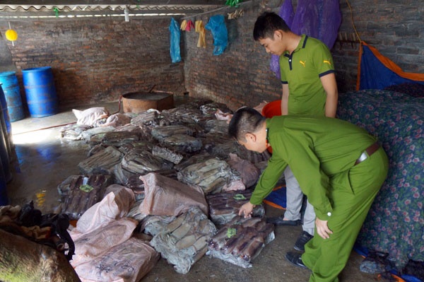 Mực bị vứt lăn lóc dưới đất, cho vào nước giã đông và tẩy trắng bằng muối, 