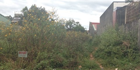 85 tuoi van gio tro bay voi be gai mo coi ngay ngo hinh anh