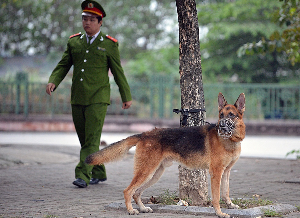 Theo cảnh sát, những chú chó này sẽ thường trực ở các cửa ra vào sân vận động, để kịp thời huy động khi có tình huống xảy ra.