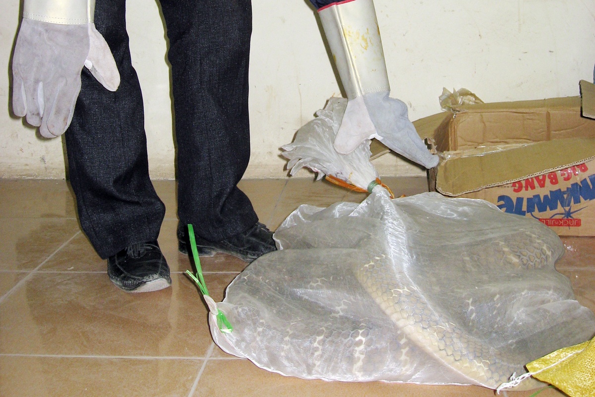 Trong mỗi chuyến đánh án, bắt 