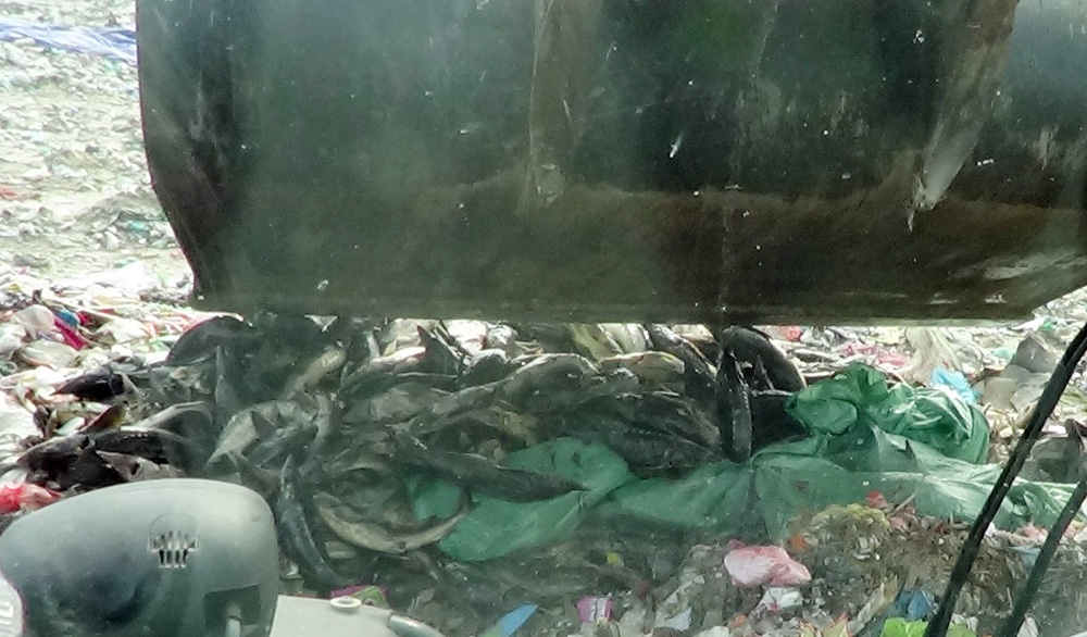 Tài xế xe tải vận chuyển, kinh doanh trái phép hàng hóa nhập lậu đã bị xử phạt 45 triệu đồng, buộc tiêu hủy toàn bộ số cá chưa qua kiểm dịch. 