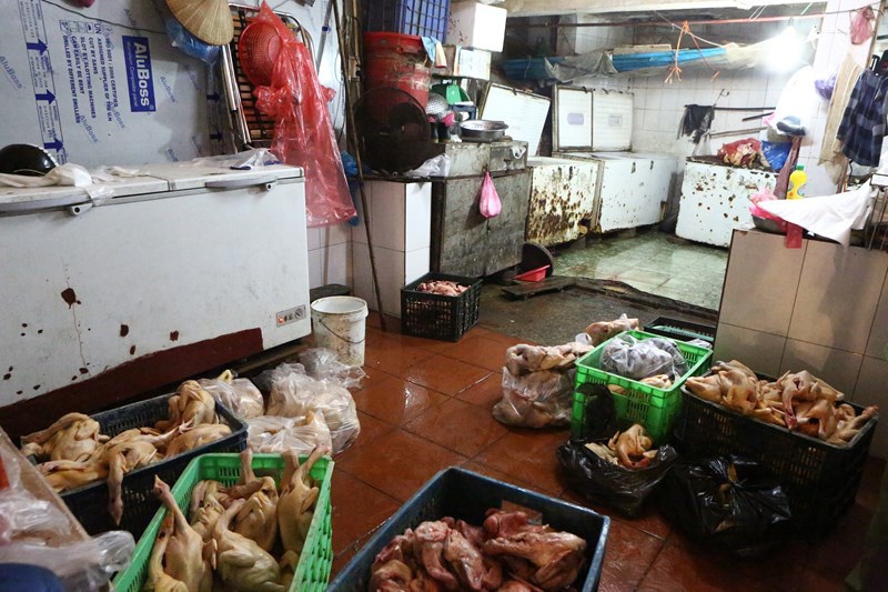 Sáng 27-12, Đội Cơ động chống buôn lậu và gian lận thương mại (Đội Quản lý thị trường số 1)- Chi cục Quản lý thị trường Hà Nội phối hợp với cơ quan chức năng kiểm tra cơ sở kinh doanh thực phẩm tươi sống (gia cầm sạch) tại chợ Hôm (Hà Nội), phát hiện nhiều sai phạm.  Bất ngờ kiểm tra cơ sở kinh doanh gia cầm sạch Hòa Hạnh có địa chỉ tại ô 8, lều 2, chợ Hôm- Đức Viên (quận Hai Bà Trưng, Hà Nội) Đội Quản lý thị trường số 1 và Cục Cảnh sát phòng chống tội phạm về môi trường- Bộ Công an phát hiện nhiều dấu hiệu sai phạm.