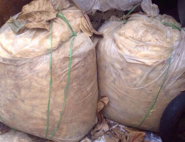 Không chỉ ủ trong chum, măng còn được ngâm trong các túi nilon lớn, rồi phủ bạt để ở giữa sân.