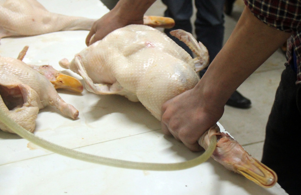 Vit bom hoi, khong kiem dich bien thanh dac san hinh anh