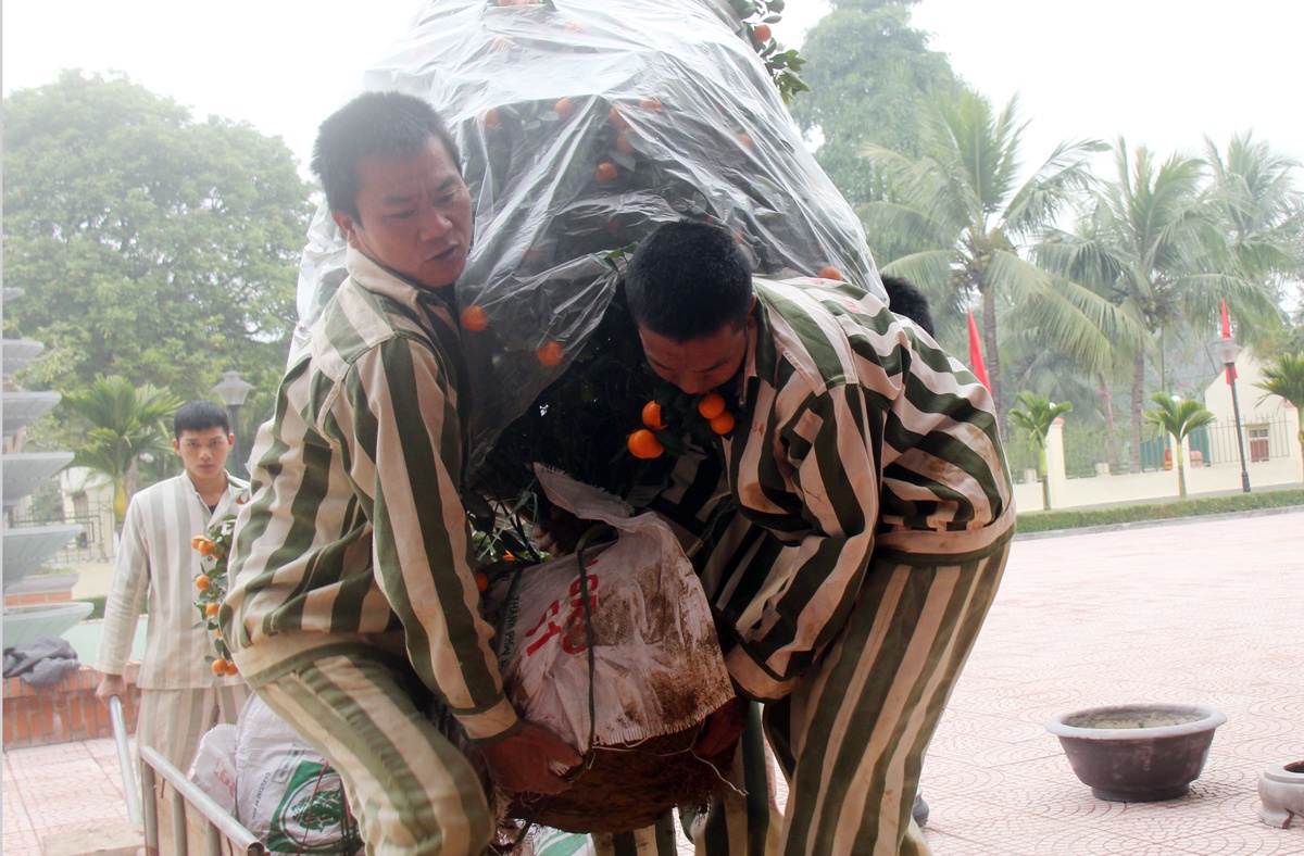 Việc trang hoàng trong khuôn viên trại đang được các phạm nhân tích cực thực hiện.