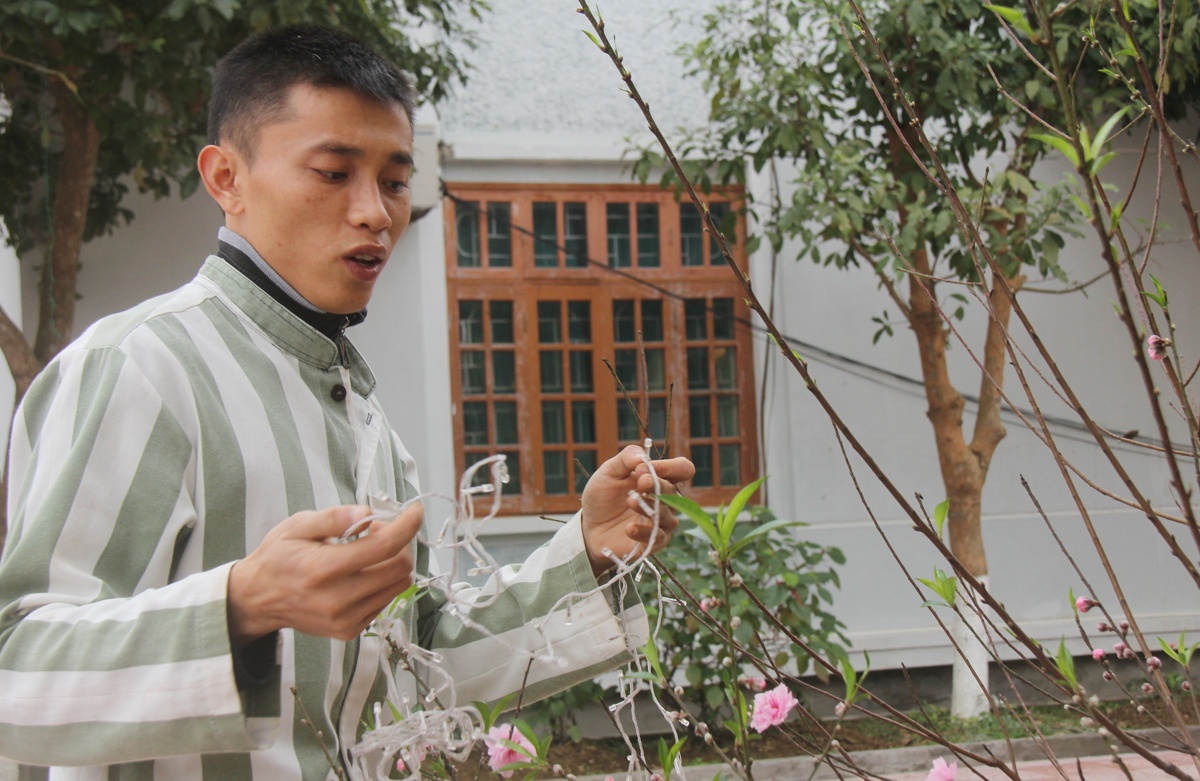 Vừa trang hoàng cây đào phai bằng đèn nhấp nháy, phạm nhân Nguyễn Hải Dũng (24 tuổi, quê Nghệ An) chia sẻ đã ăn 3 mùa Tết trong trại.  Thanh niên thụ lý mức án hơn 5 năm tù đang nỗ lực cải tạo để được sớm trả tự do.