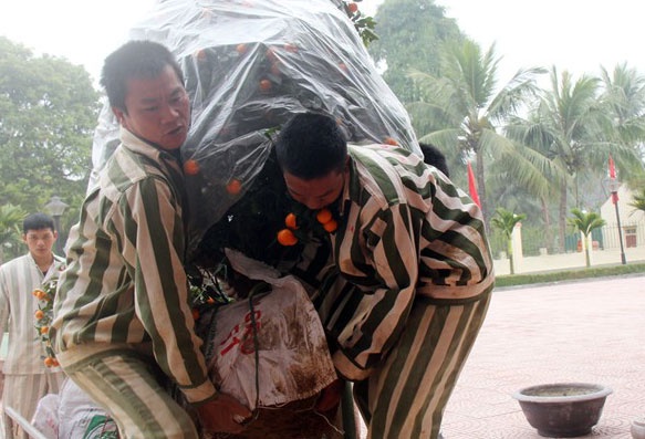 Tet ve o trai giam giu hang nghin pham nhan hinh anh