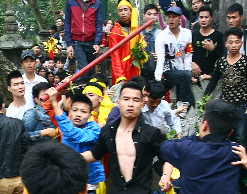 Hon chien o hoi den Giong la 'binh thuong' hinh anh