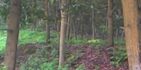 Hiện trường vụ việc.