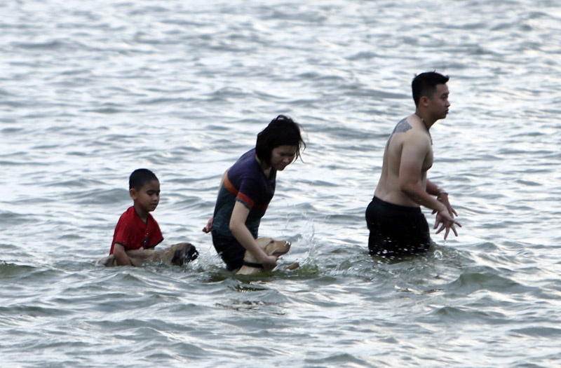 Nguoi va thu cung boi tren Ho Tay giai nhiet hinh anh