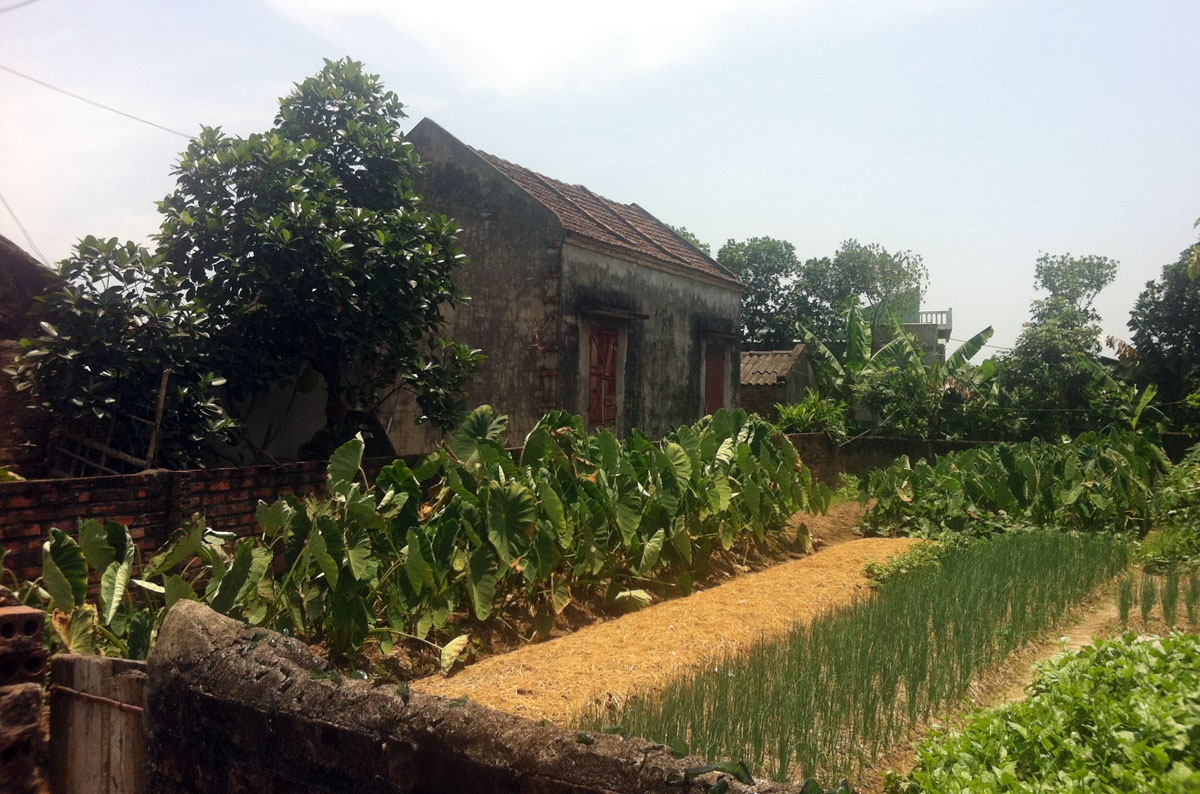 Vị trí Thế Anh núp trốn trước khi đột nhập vào nhà người yêu. Ảnh: Việt Đức.