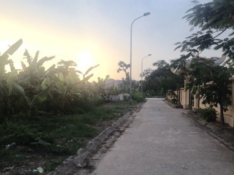 Thieu nu bi 'yeu rau xanh' cuong buc khi di qua nghia trang hinh anh