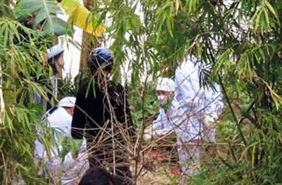Moi tinh lan dan cua ke sat hai con nguoi tinh hinh anh