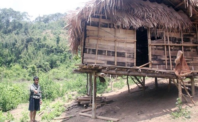 Nạn nhân Lô Văn Thọ (28 tuổi) chết ở gần lán bởi 2 vết chém; bà Viêng Thị Chương (60 tuổi, mẹ anh Thọ) chết sát bờ suối với vết thương ở bụng. 