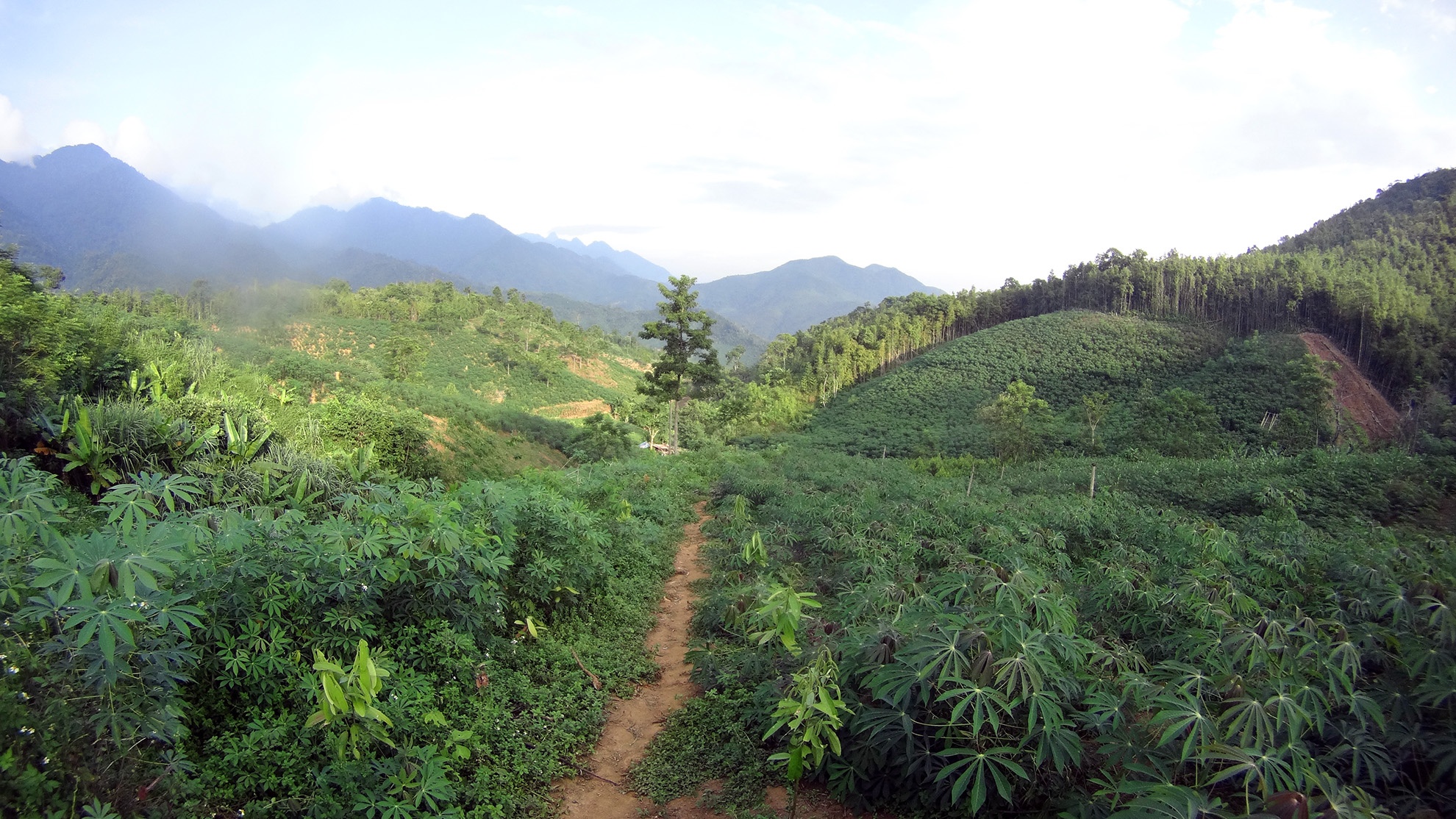 Để tới lán nương của nạn nhân Long phải qua nhiều núi đồi quanh co, lội suối, vượt sông. Nơi cư trú của 4 nạn nhân xấu số nằm trên mỏm núi cao nhất của dãy núi Voi.