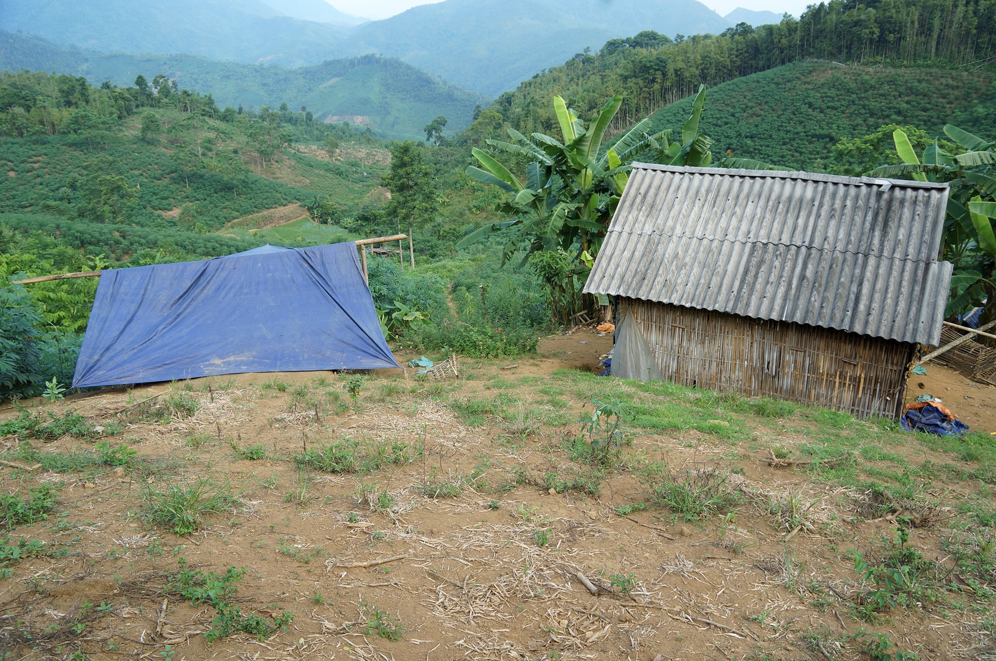 48 giờ sau khi xảy ra thảm án ở thôn Cài, xã Vân Giang, huyện Văn Yên, tỉnh Yên Bái, lệnh phong tỏa hiện trường vụ án được dỡ bỏ. Lần đầu tiên phóng viên báo chí được tiếp cận với nơi mà 4 người trong gia đình anh Trần Văn Long (32 tuổi) bị giết.