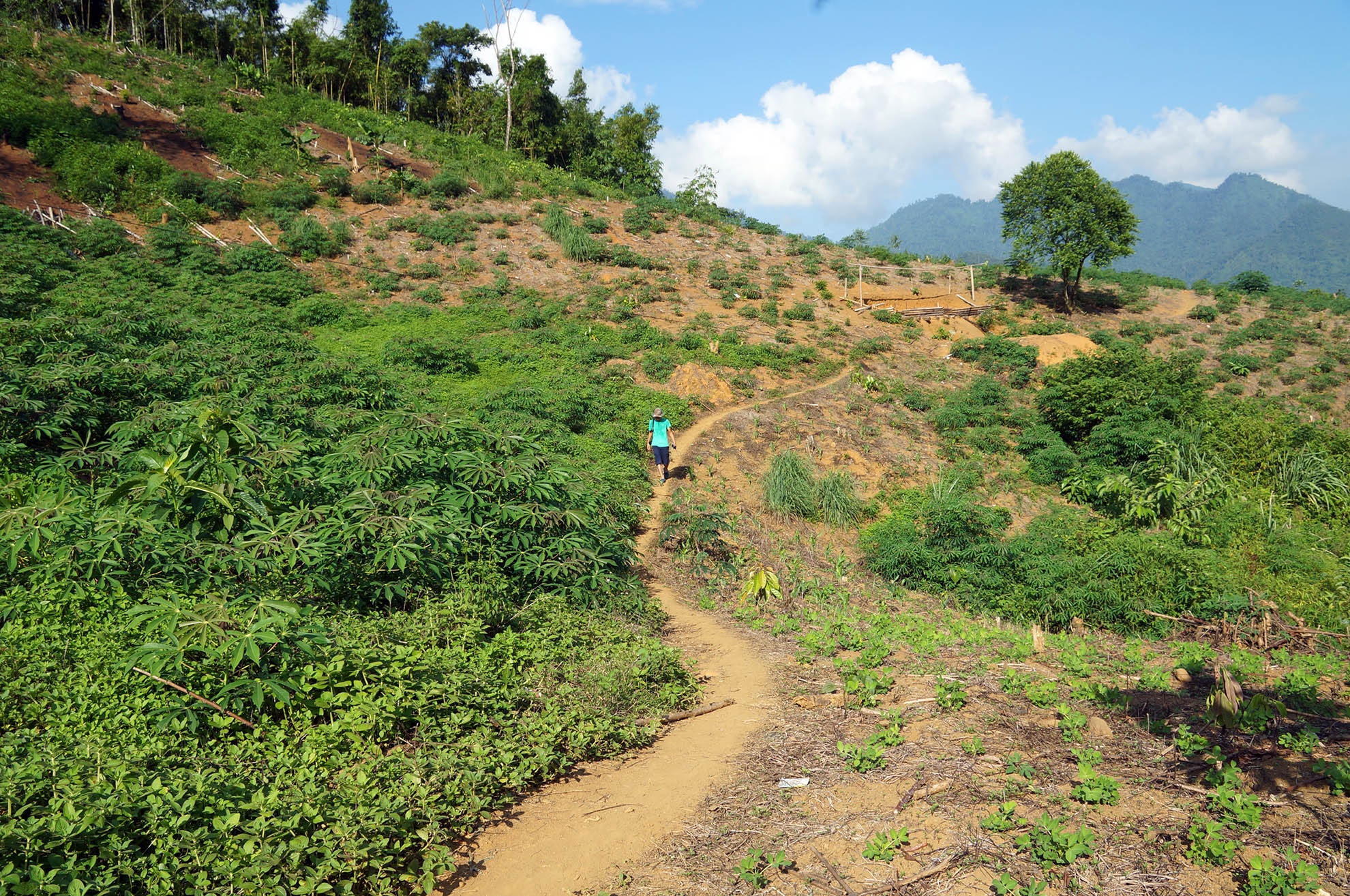Theo tài liệu điều tra, tối 12/8, lực lượng công an nhận được tin báo ở thôn Cài (nơi đồng bào phát nương, trồng ngô và sắn) có nhiều người chết. Hiện trường là căn lán nương nhà anh Long. Từ UBND xã Vân Giang vào đây khoảng 7 km, trong đó 3 km phải đi bộ. 