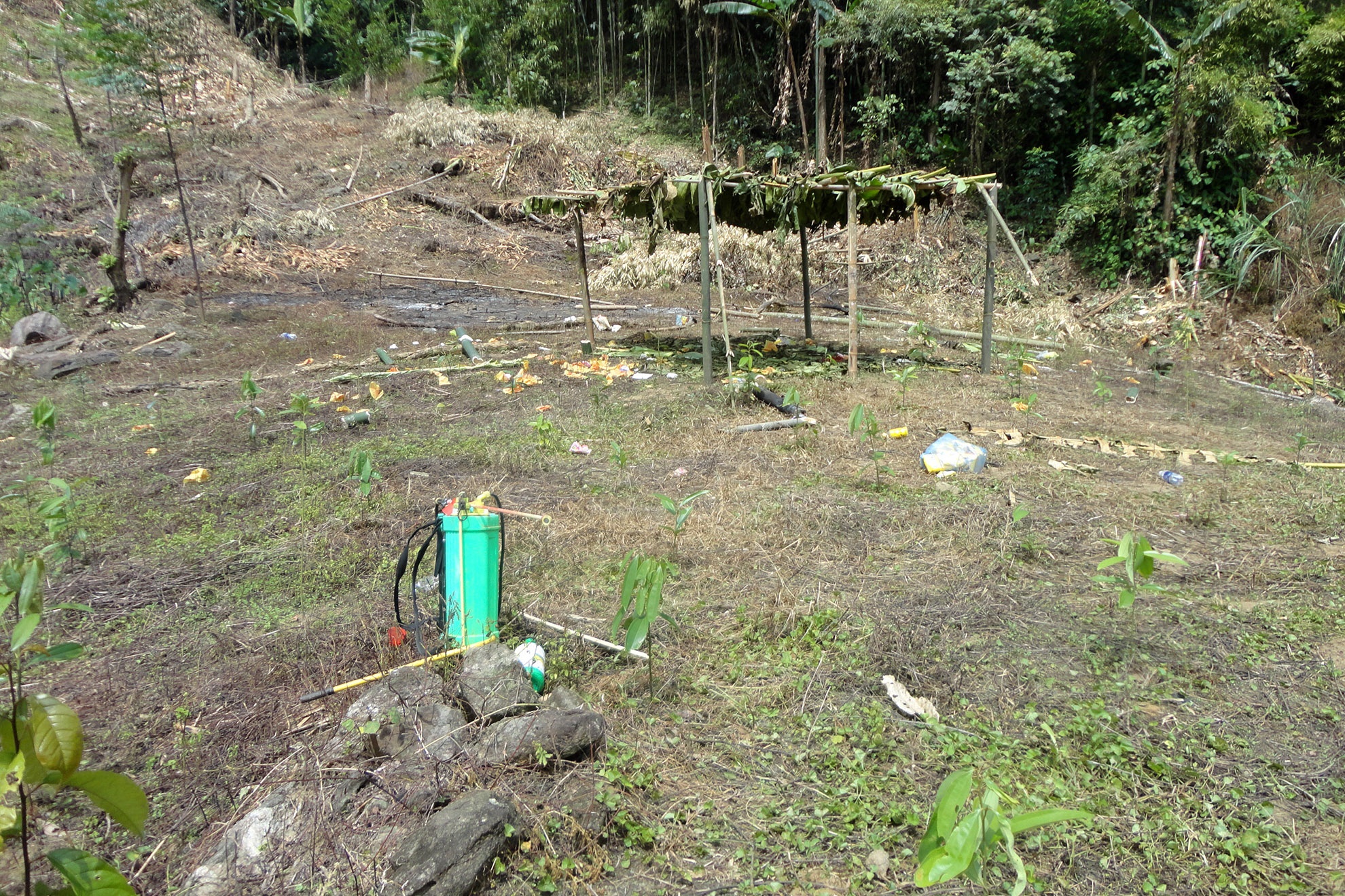 Mở rộng tìm kiếm xung quanh hiện trường, cảnh sát phát hiện thêm anh Trần Văn Long (32 tuổi) và Phàn Thị Hoa (20 tuổi, vợ Long) cũng tử vong bởi hung khí sắc. Xác họ nằm gần bìa rừng. Tại đây, cảnh sát ghi nhận nhiều vật dụng trồng ngô và sắn, bình phun thuốc sâu.