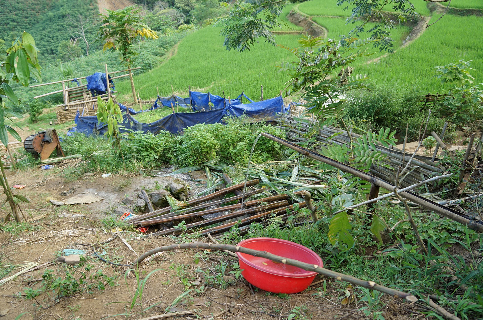 Theo đại tá Phạm Ngọc Thắng, nghi phạm Đặng Văn Hùng (26 tuổi) và nạn nhân Long có mâu thuẫn trong việc tranh chấp nương rẫy và khe nước trước đó. Nhiều khả năng đây là nguyên nhân gây ra thảm án 4 người chết, chưa từng xảy ra ở Yên Bái.