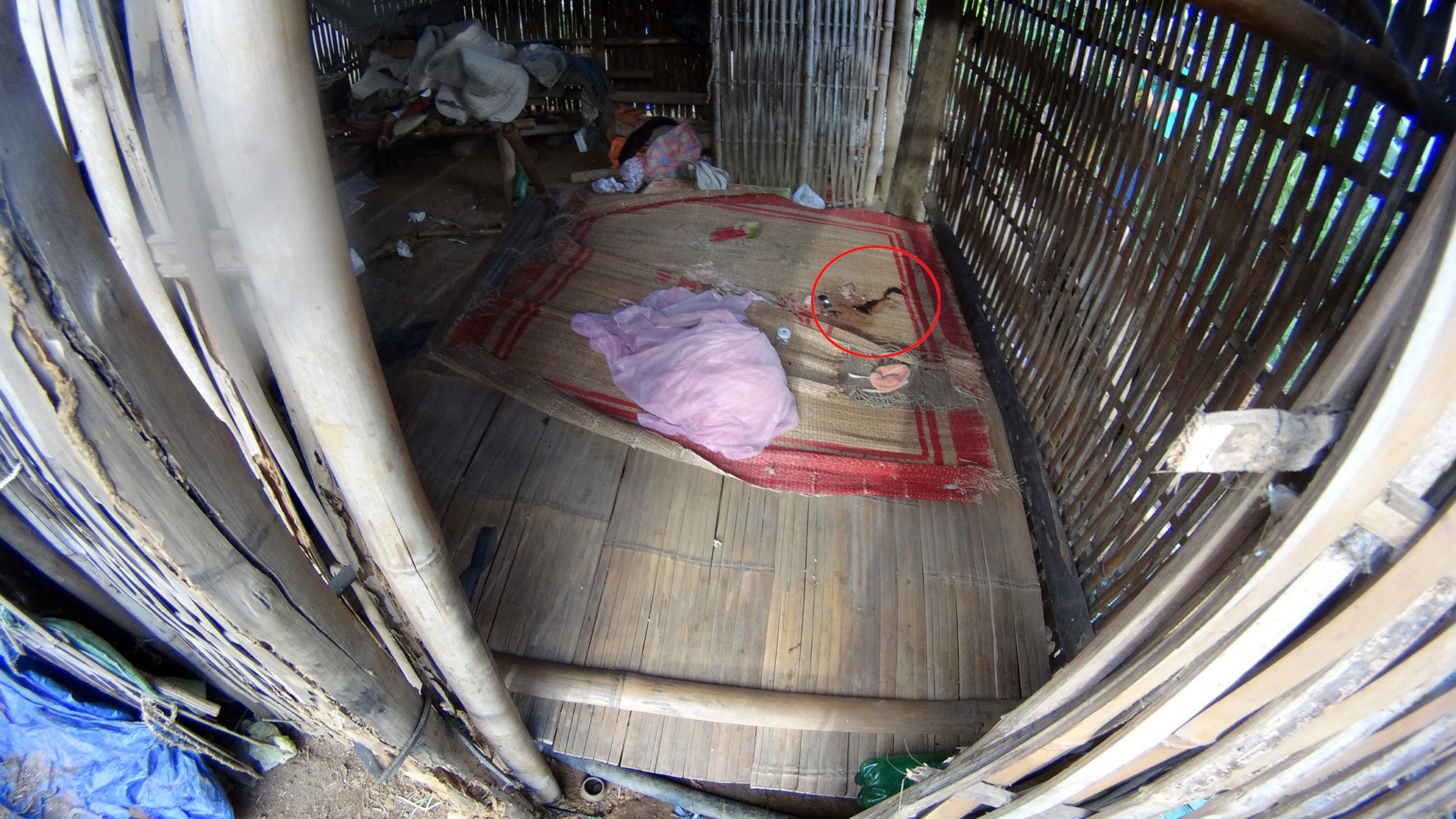 Trong căn nhà của cặp vợ chồng xấu số không có tài sản gì giá trị, nhiều vật dụng bị xáo trộn. Trên chiếc chõng tre ghi nhận nhiều vệt máu khô – nơi đây 2 nạn nhân Tuyền và Hà bị sát hại.