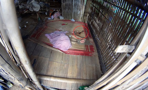 Vi sao nghi can vu tham sat ra tay voi be 2 tuoi? hinh anh