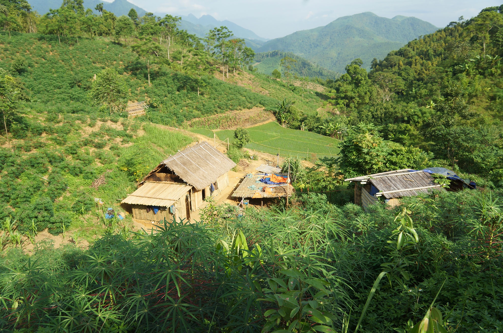 Hơn 10h ngày 15/8, nghi can gây ra vụ thảm sát 4 người ở Yên Bái - Đặng Văn Hùng (26 tuổi) đã bị lực lượng công an phối hợp với người dân bắt giữ. Người bỏ trốn cùng với Hùng là Nguyễn Thị Hán, tức Hương (36 tuổi) cũng bị đưa về trụ sở cảnh sát để làm rõ.