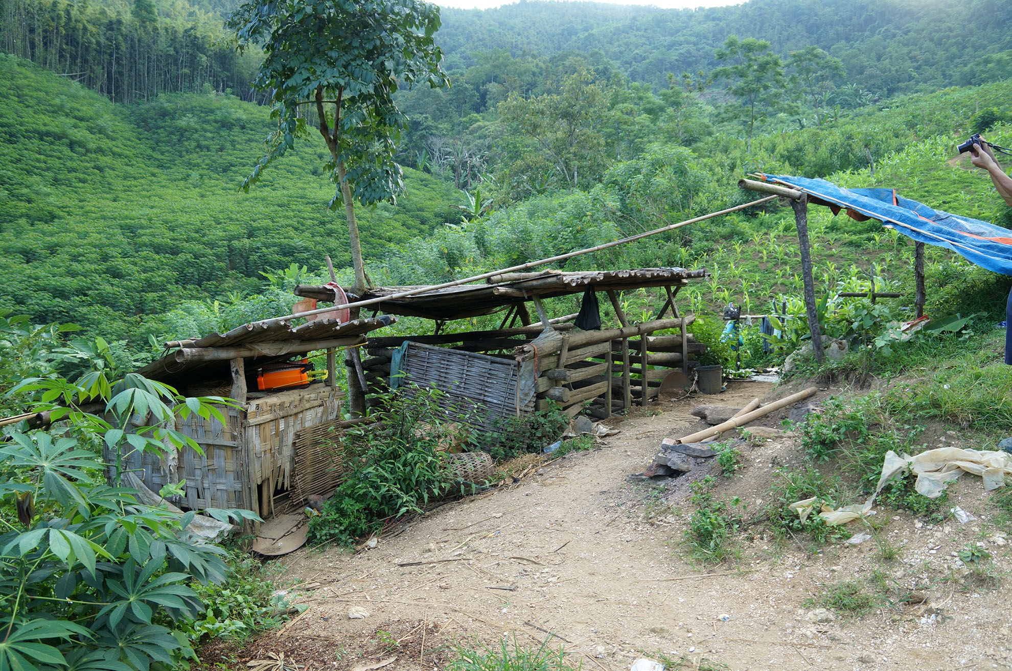 Bên trái nhà là chuồng lợn, trâu, gà... nhưng trong không có vật nuôi.