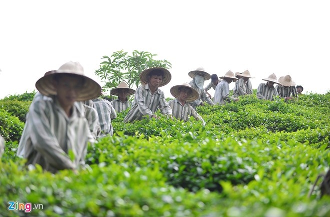 Pham nhan 9X thuat lai thoi diem gay an hinh anh