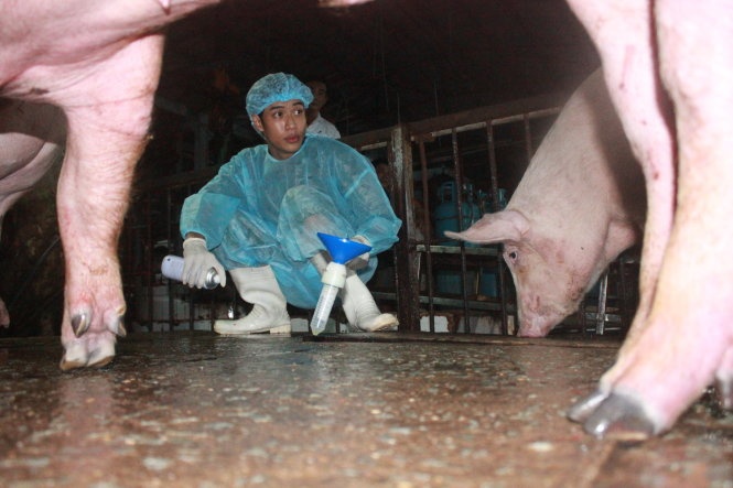 Dai gia nuoi heo dat tham vong doanh thu 1 ty USD hinh anh