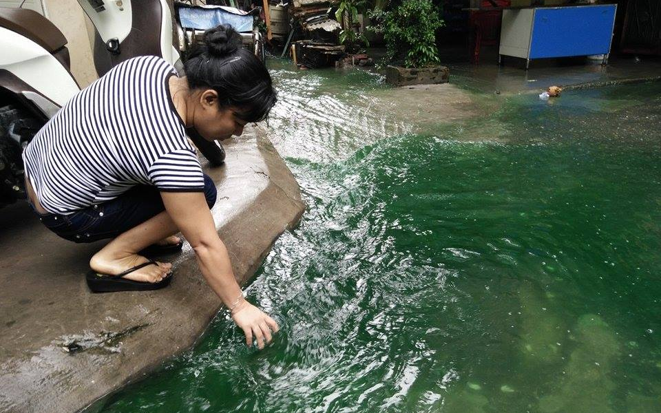 Giai ma nguyen nhan nuoc ngap chuyen mau xanh hinh anh