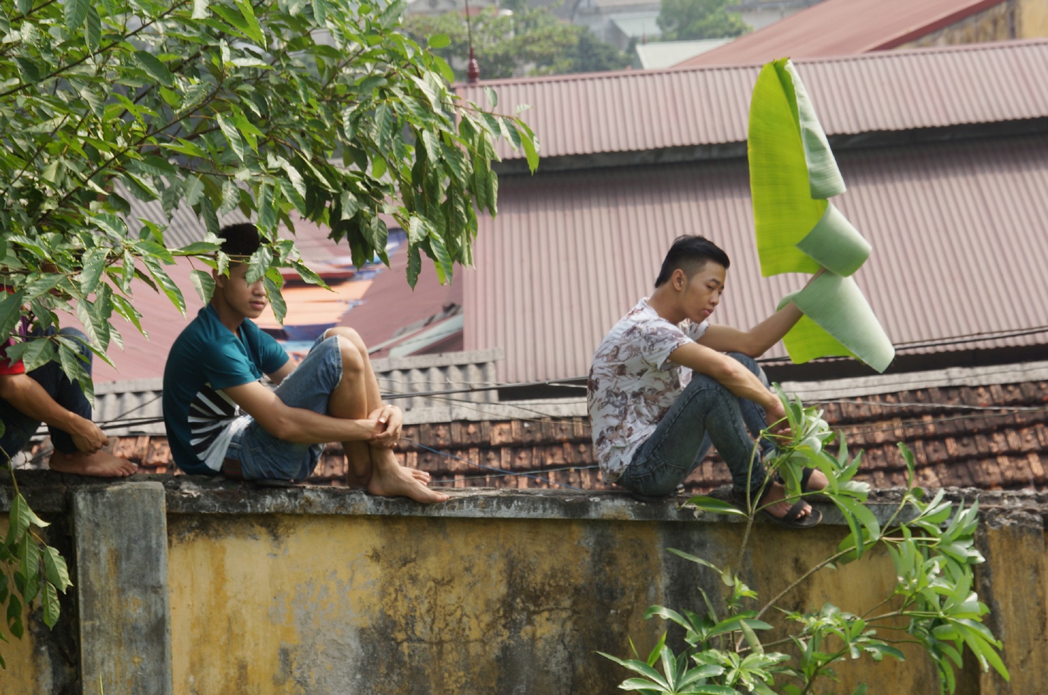 Mọi vật dụng đều được 