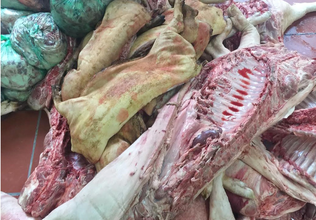 Kiểm tra thùng chiếc xe mà trinh sát báo tin chở thực phẩm không an toàn, lực lượng chức năng phát hiện hơn 1 tấn thịt lợn không có nguồn gốc, cùng hàng chục túi đựng nội tạng. 