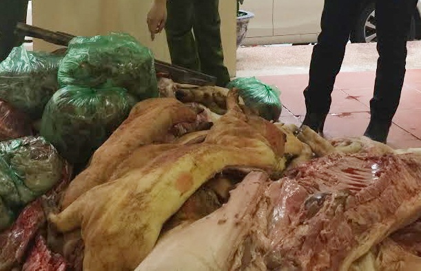 Theo đại úy Vũ Thị Hoàng Yến, Phó đội trưởng Đội 4 Phòng PC49, số thịt lợn cảnh sát thu giữ có dấu hiệu phân hủy, chuyển màu, bốc mùi hôi thối. Để giảm thiểu mùi ôi thối, những người giết mổ đã chủ ý thuu vàng da thịt. Cảnh sát đang hoàn chỉnh hồ sơ để tiêu hủy số thịt “bẩn”. 