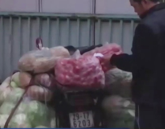 Rau khong nguon goc tuon vao cac truong mam non hinh anh