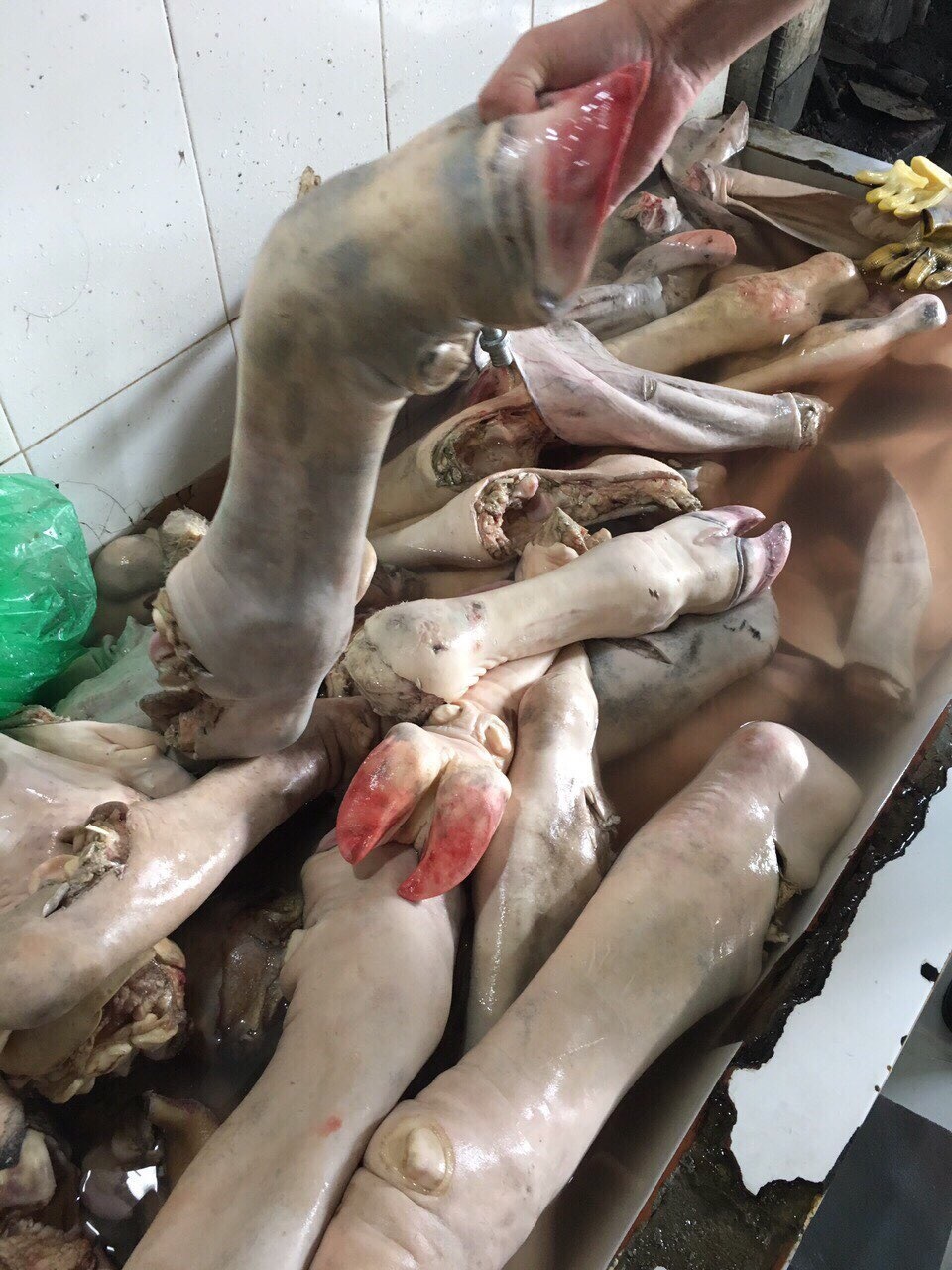 chan bo hoi thoi anh 4