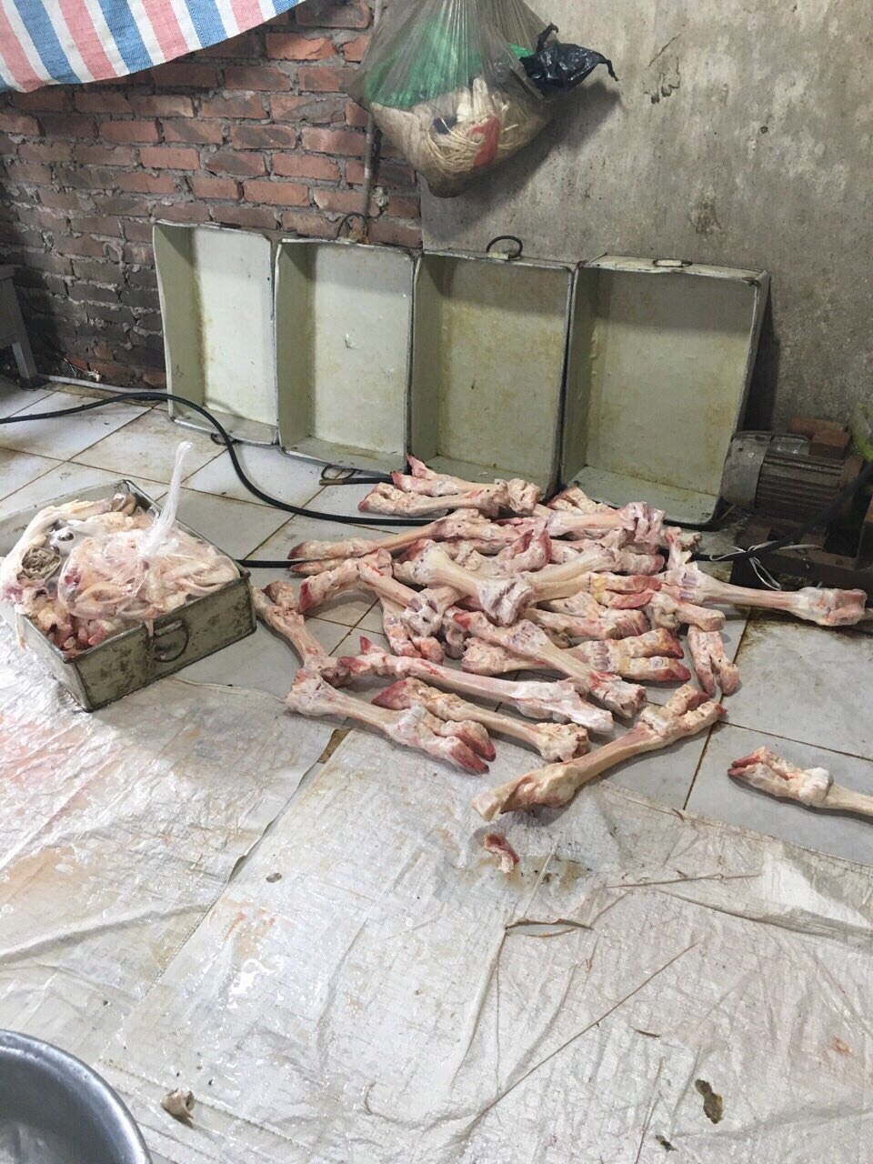 chan bo hoi thoi anh 5