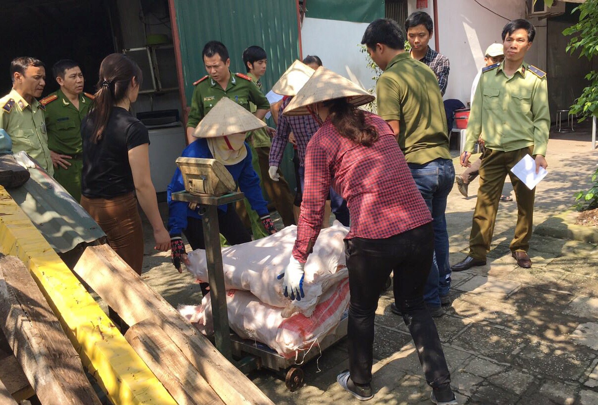 chan bo hoi thoi anh 1