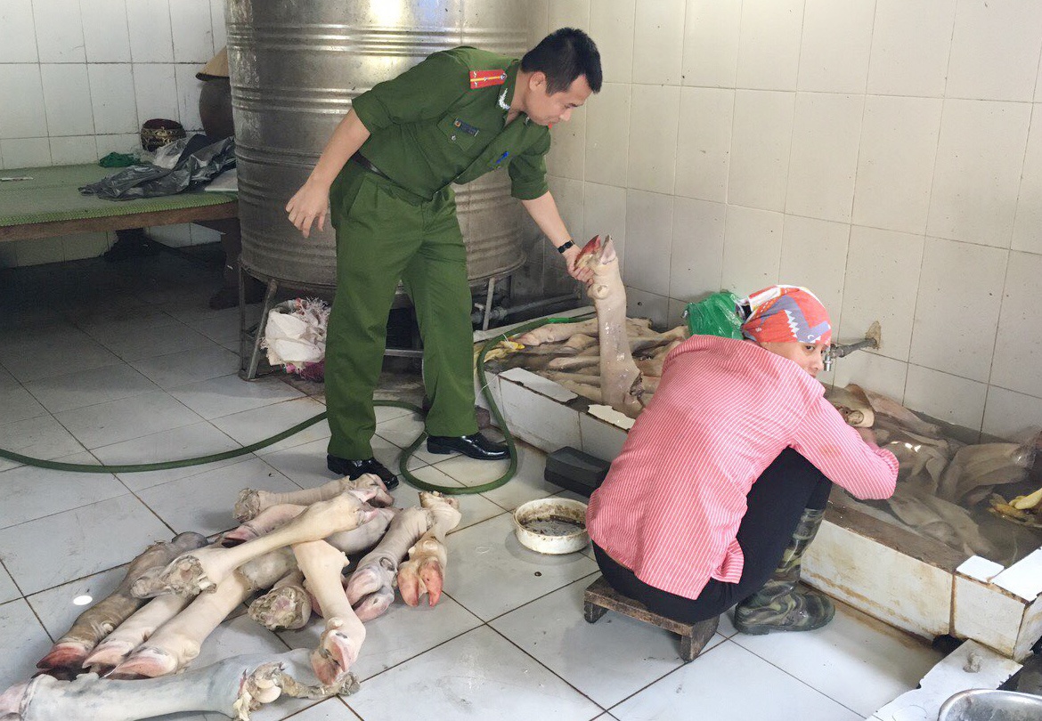 chan bo hoi thoi anh 3