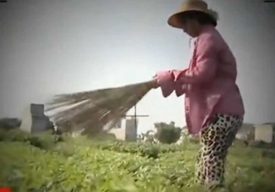 Toi nay, VTV se thong tin vu phong su dung choi quet rau hinh anh