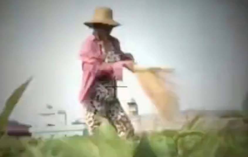 VTV dinh chi phong vien thuc hien clip 'dung choi quet rau' hinh anh