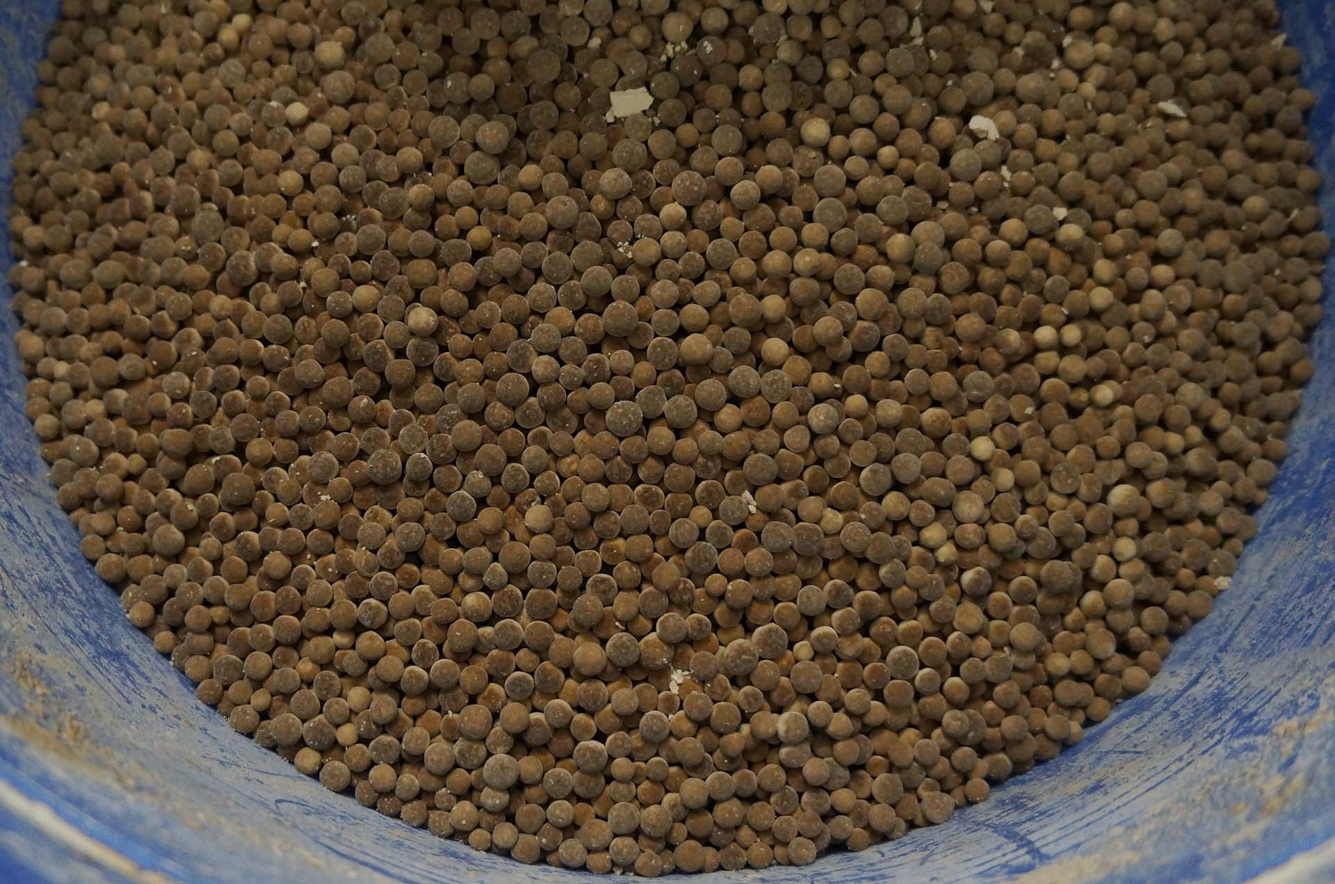 Pha che tra sua tran chau anh 2