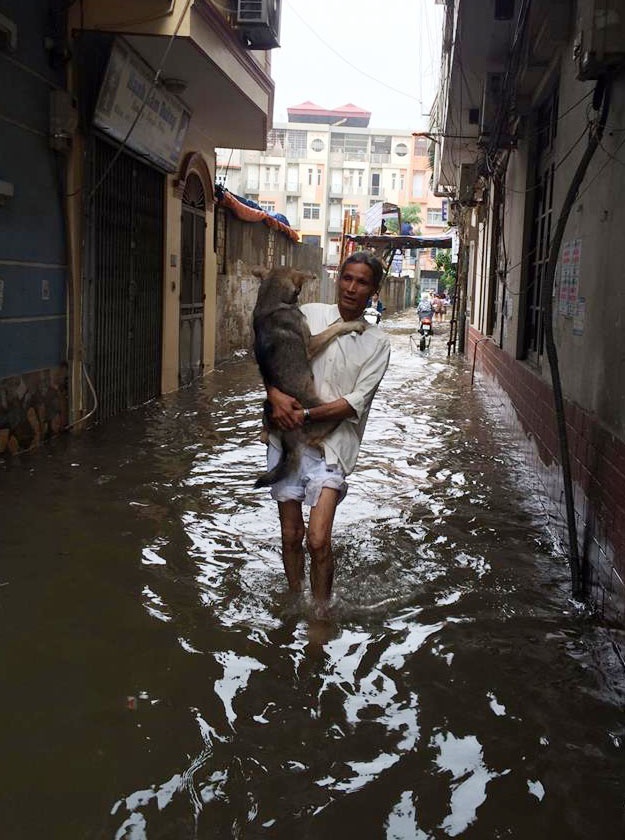 Cheo thuyen tren pho anh 15